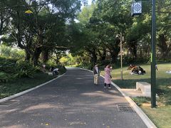 -南宁南湖公园