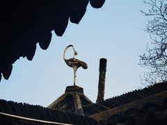 -上海醉白池公园