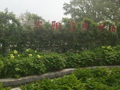 -太阳宫公园