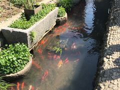 -前童古镇