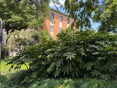 -浙江大学(玉泉校区)