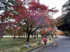 -京都御所