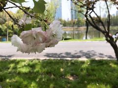 -艾溪湖湿地公园