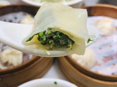 荠菜鲜肉馄饨-老盛兴汤包馆(安波店)