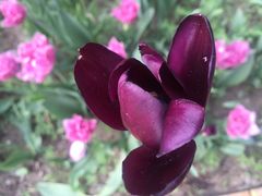 -长春公园(普阳街道)