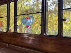 -合肥滨湖国家森林公园