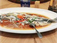 -丹江渔村(望京店)