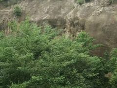 -金鸡山公园