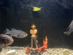 -欢乐海岸海洋奇梦馆