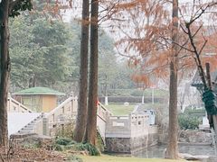 -狼山风景名胜区