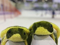 -绍兴启迪乔波冰雪世界