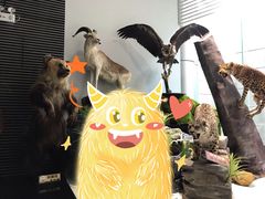 -昆明动物博物馆