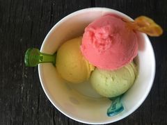 -莓园冰淇淋店