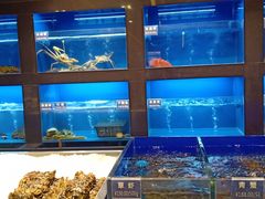 水产区-金时代顺风大酒店(临港百联店)