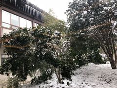 -扬州瘦西湖汇金酒店