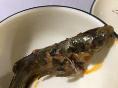 -彭大姐老店黄辣丁(新津店)