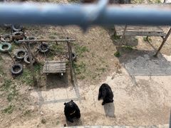 -哈尔滨北方森林动物园