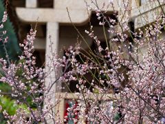 -草庵摩尼教遗址公园