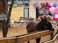 -HERRE·FARM 赫尔露营农场·团建聚会包场