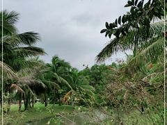 -白沙门生态公园