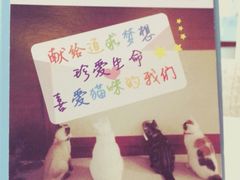 萌喵咖啡屋-萌喵宠狗爱心宠咖