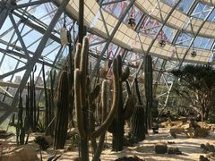植物园-芽庄珍珠岛游乐园