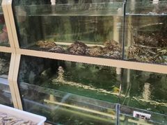 水产区-悦来酒家·正宗闽南菜(西街店)