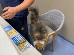 -宠颐生美多格动物医院骨科·影像科新北转诊中心(汉江路店)