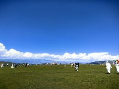 -新疆那拉提国家旅游度假区