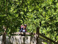 -宁波五龙潭景区