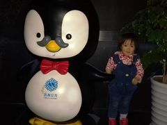 -成都浩海立方海洋公园