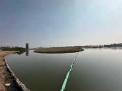 -春花秋色城市公园