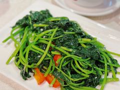 番薯苗-粤北餐馆