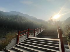 -龙坞茶村