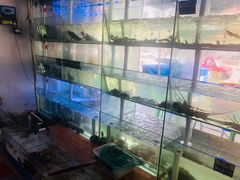 -海之鲜大排档(东山海鲜金銮湾店)