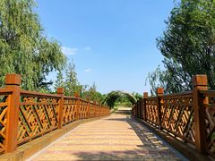 -同里国家湿地公园