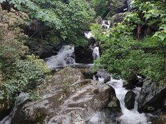 -大围山国家森林公园
