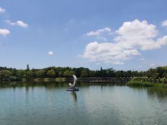 -大塘金香草谷