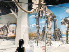 -国家自然博物馆