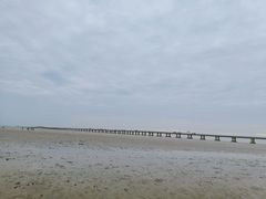 -南汇新城海滩