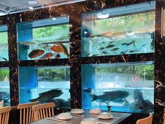 -浔味·山屿湖·正宗全鱼宴老字号
