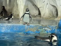 -太平洋海底世界