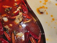 -麻田会 ·鲜活现烹·牛蛙火锅(珠江新城维家思广场店)