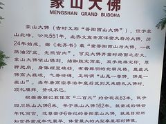 -蒙山大佛景区