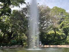 -九龙公园