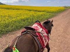-扁都口生态休闲旅游区