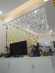 -再出发防脱发白发理疗中心