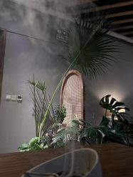 -芳香乐府疗愈空间·SPA·冥想