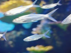 -华夏文旅西安度假区