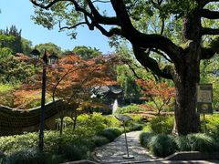 -申粤轩酒楼·三十年粤菜经典(丁香花园店)